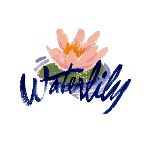 Waterlily